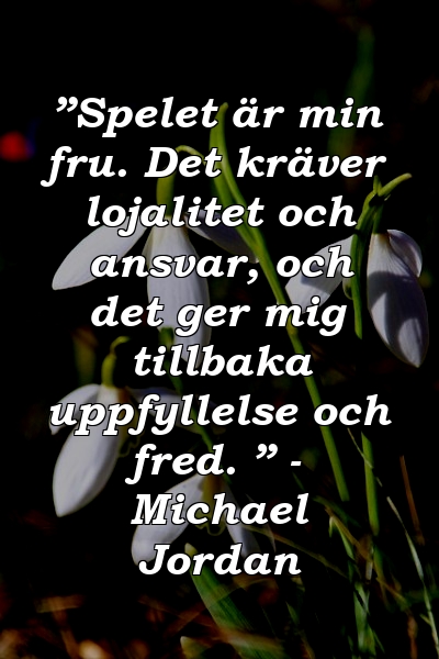 ”Spelet är min fru. Det kräver lojalitet och ansvar, och det ger mig tillbaka uppfyllelse och fred. ” - Michael Jordan