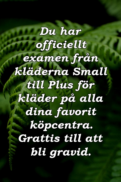 Du har officiellt examen från kläderna Small till Plus för kläder på alla dina favorit köpcentra. Grattis till att bli gravid.