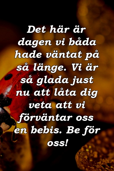 Det här är dagen vi båda hade väntat på så länge. Vi är så glada just nu att låta dig veta att vi förväntar oss en bebis. Be för oss!