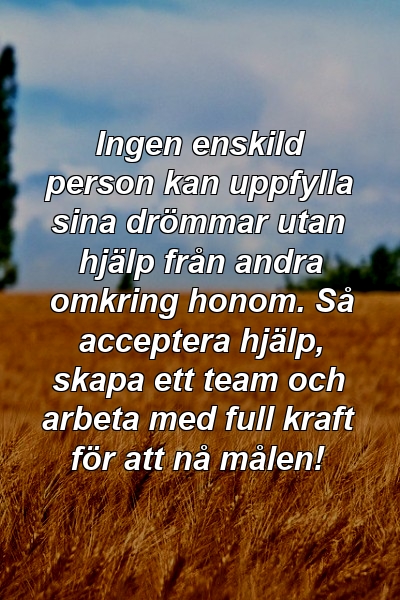 Ingen enskild person kan uppfylla sina drömmar utan hjälp från andra omkring honom. Så acceptera hjälp, skapa ett team och arbeta med full kraft för att nå målen!