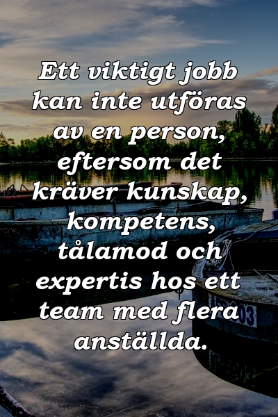 Ett viktigt jobb kan inte utföras av en person, eftersom det kräver kunskap, kompetens, tålamod och expertis hos ett team med flera anställda.