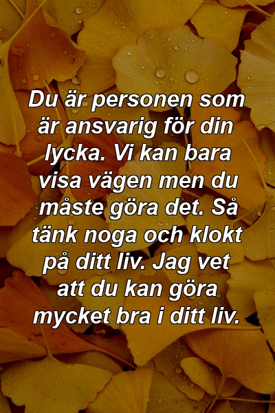 Du är personen som är ansvarig för din lycka. Vi kan bara visa vägen men du måste göra det. Så tänk noga och klokt på ditt liv. Jag vet att du kan göra mycket bra i ditt liv.