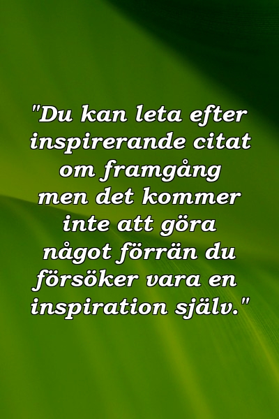 "Du kan leta efter inspirerande citat om framgång men det kommer inte att göra något förrän du försöker vara en inspiration själv."