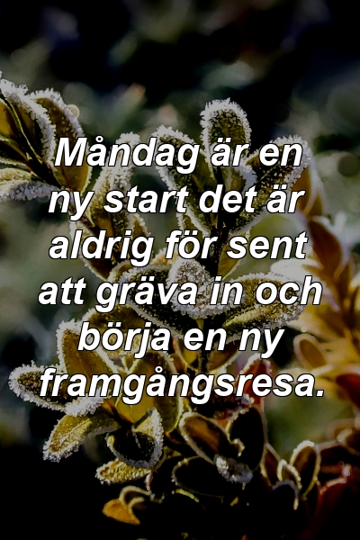 Måndag är en ny start det är aldrig för sent att gräva in och börja en ny framgångsresa.