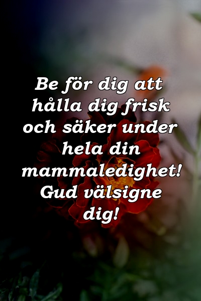 Be för dig att hålla dig frisk och säker under hela din mammaledighet! Gud välsigne dig!