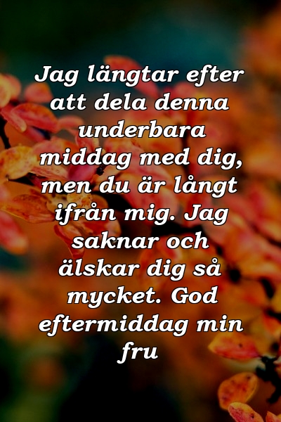 Jag längtar efter att dela denna underbara middag med dig, men du är långt ifrån mig. Jag saknar och älskar dig så mycket. God eftermiddag min fru