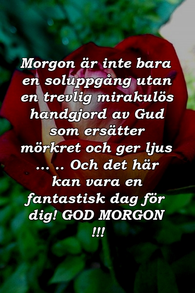 Morgon är inte bara en soluppgång utan en trevlig mirakulös handgjord av Gud som ersätter mörkret och ger ljus ... .. Och det här kan vara en fantastisk dag för dig! GOD MORGON !!!