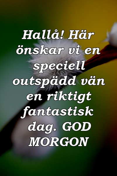 Hallå! Här önskar vi en speciell outspädd vän en riktigt fantastisk dag. GOD MORGON