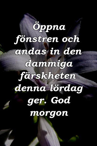 Öppna fönstren och andas in den dammiga färskheten denna lördag ger. God morgon