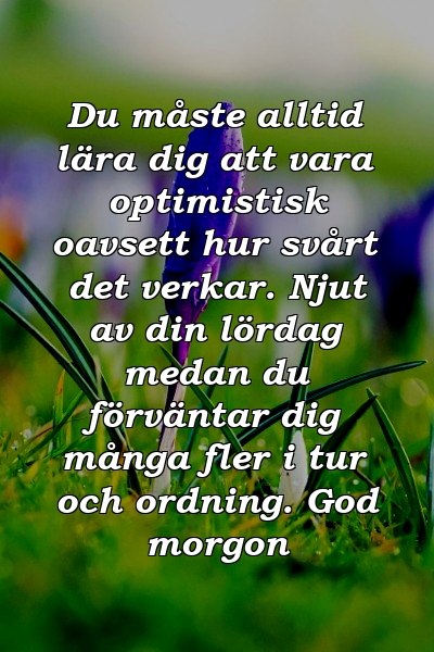 Du måste alltid lära dig att vara optimistisk oavsett hur svårt det verkar. Njut av din lördag medan du förväntar dig många fler i tur och ordning. God morgon