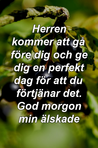 Herren kommer att gå före dig och ge dig en perfekt dag för att du förtjänar det. God morgon min älskade