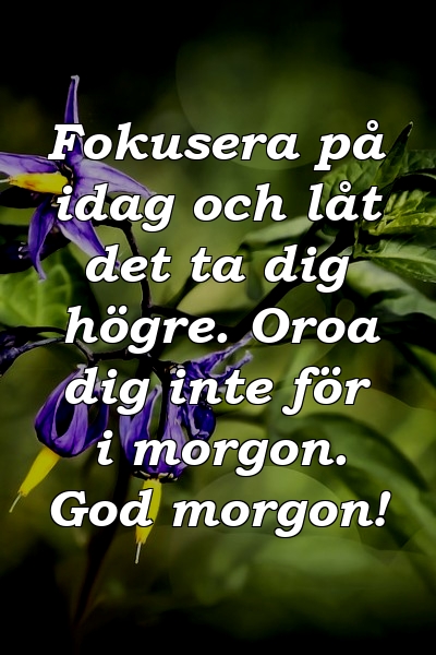 Fokusera på idag och låt det ta dig högre. Oroa dig inte för i morgon. God morgon!