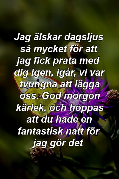 Jag älskar dagsljus så mycket för att jag fick prata med dig igen, igår, vi var tvungna att lägga oss. God morgon kärlek, och hoppas att du hade en fantastisk natt för jag gör det