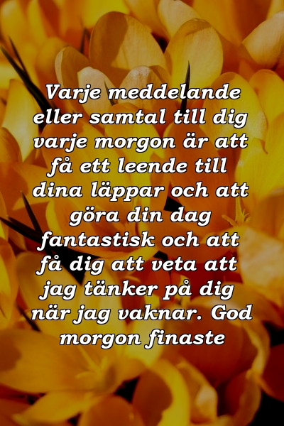 Varje meddelande eller samtal till dig varje morgon är att få ett leende till dina läppar och att göra din dag fantastisk och att få dig att veta att jag tänker på dig när jag vaknar. God morgon finaste