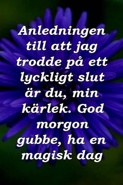 Anledningen till att jag trodde på ett lyckligt slut är du, min kärlek. God morgon gubbe, ha en magisk dag