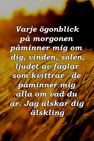 Varje ögonblick på morgonen påminner mig om dig, vinden, solen, ljudet av fåglar som kvittrar - de påminner mig alla om vad du är. Jag älskar dig älskling