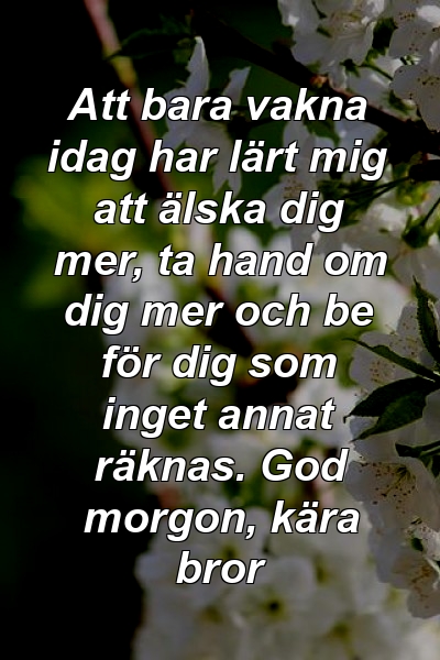 Att bara vakna idag har lärt mig att älska dig mer, ta hand om dig mer och be för dig som inget annat räknas. God morgon, kära bror