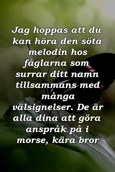 Jag hoppas att du kan höra den söta melodin hos fåglarna som surrar ditt namn tillsammans med många välsignelser. De är alla dina att göra anspråk på i morse, kära bror