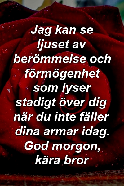 Jag kan se ljuset av berömmelse och förmögenhet som lyser stadigt över dig när du inte fäller dina armar idag. God morgon, kära bror