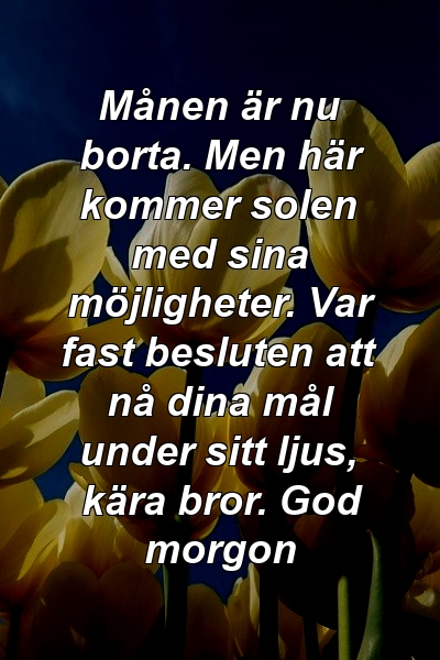 Månen är nu borta. Men här kommer solen med sina möjligheter. Var fast besluten att nå dina mål under sitt ljus, kära bror. God morgon