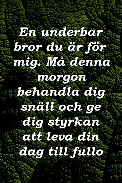 En underbar bror du är för mig. Må denna morgon behandla dig snäll och ge dig styrkan att leva din dag till fullo