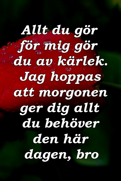 Allt du gör för mig gör du av kärlek. Jag hoppas att morgonen ger dig allt du behöver den här dagen, bro