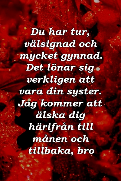 Du har tur, välsignad och mycket gynnad. Det lönar sig verkligen att vara din syster. Jag kommer att älska dig härifrån till månen och tillbaka, bro