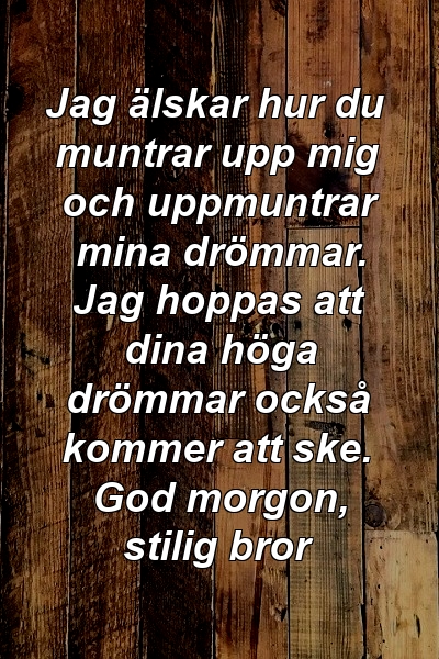 Jag älskar hur du muntrar upp mig och uppmuntrar mina drömmar. Jag hoppas att dina höga drömmar också kommer att ske. God morgon, stilig bror