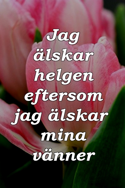 Jag älskar helgen eftersom jag älskar mina vänner