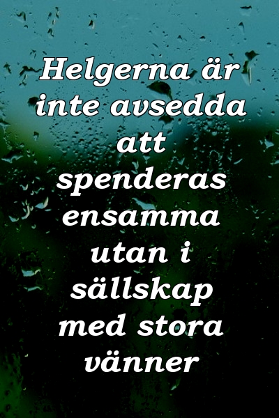 Helgerna är inte avsedda att spenderas ensamma utan i sällskap med stora vänner