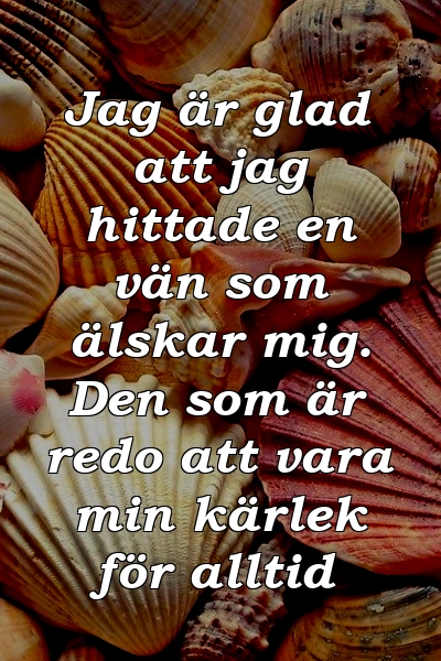 Jag är glad att jag hittade en vän som älskar mig. Den som är redo att vara min kärlek för alltid