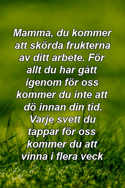 Mamma, du kommer att skörda frukterna av ditt arbete. För allt du har gått igenom för oss kommer du inte att dö innan din tid. Varje svett du tappar för oss kommer du att vinna i flera veck