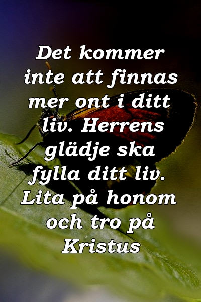 Det kommer inte att finnas mer ont i ditt liv. Herrens glädje ska fylla ditt liv. Lita på honom och tro på Kristus