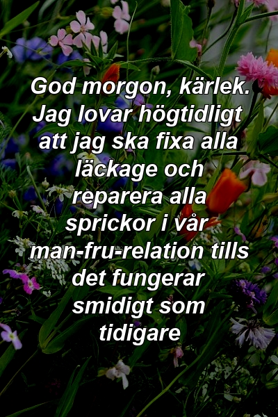 God morgon, kärlek. Jag lovar högtidligt att jag ska fixa alla läckage och reparera alla sprickor i vår man-fru-relation tills det fungerar smidigt som tidigare