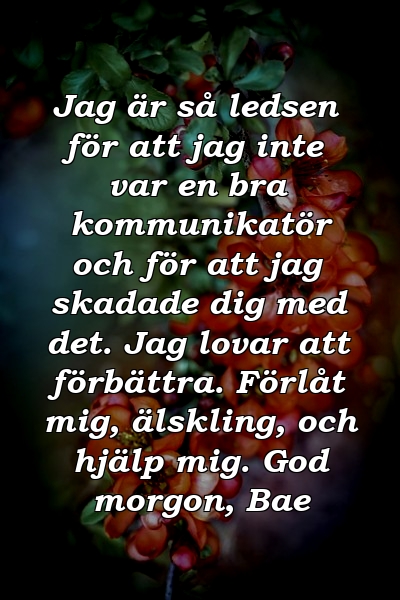 Jag är så ledsen för att jag inte var en bra kommunikatör och för att jag skadade dig med det. Jag lovar att förbättra. Förlåt mig, älskling, och hjälp mig. God morgon, Bae