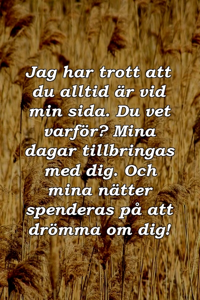 Jag har trott att du alltid är vid min sida. Du vet varför? Mina dagar tillbringas med dig. Och mina nätter spenderas på att drömma om dig!