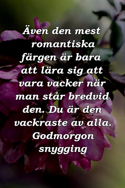 Även den mest romantiska färgen är bara att lära sig att vara vacker när man står bredvid den. Du är den vackraste av alla. Godmorgon snygging