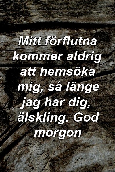 Mitt förflutna kommer aldrig att hemsöka mig, så länge jag har dig, älskling. God morgon