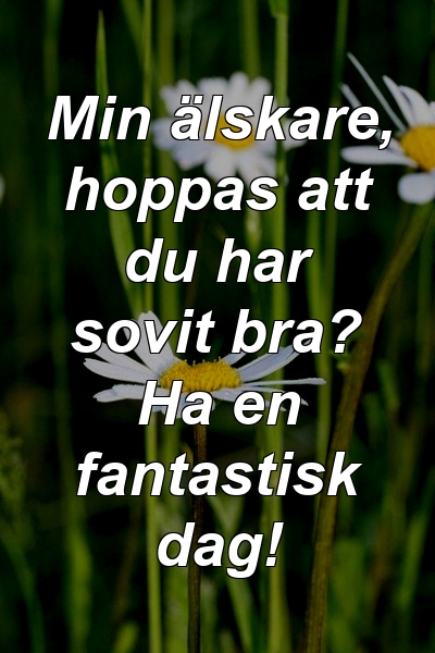 Min älskare, hoppas att du har sovit bra? Ha en fantastisk dag!