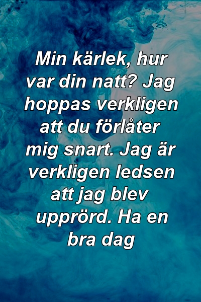 Min kärlek, hur var din natt? Jag hoppas verkligen att du förlåter mig snart. Jag är verkligen ledsen att jag blev upprörd. Ha en bra dag