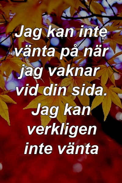 Jag kan inte vänta på när jag vaknar vid din sida. Jag kan verkligen inte vänta