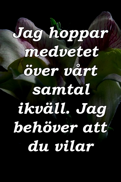 Jag hoppar medvetet över vårt samtal ikväll. Jag behöver att du vilar