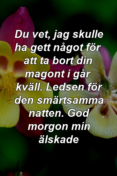 Du vet, jag skulle ha gett något för att ta bort din magont i går kväll. Ledsen för den smärtsamma natten. God morgon min älskade