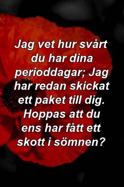 Jag vet hur svårt du har dina perioddagar; Jag har redan skickat ett paket till dig. Hoppas att du ens har fått ett skott i sömnen?