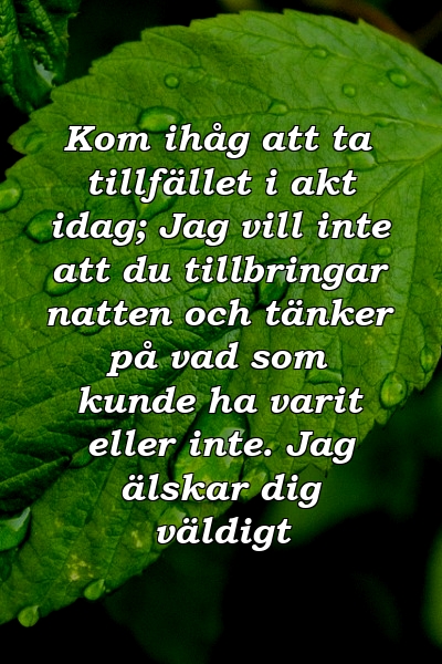 Kom ihåg att ta tillfället i akt idag; Jag vill inte att du tillbringar natten och tänker på vad som kunde ha varit eller inte. Jag älskar dig väldigt