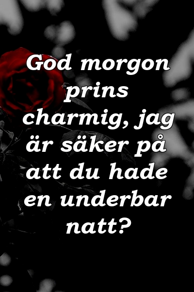 God morgon prins charmig, jag är säker på att du hade en underbar natt?