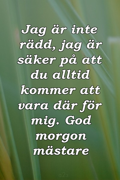 Jag är inte rädd, jag är säker på att du alltid kommer att vara där för mig. God morgon mästare