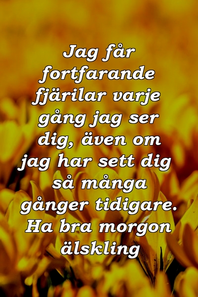 Jag får fortfarande fjärilar varje gång jag ser dig, även om jag har sett dig så många gånger tidigare. Ha bra morgon älskling