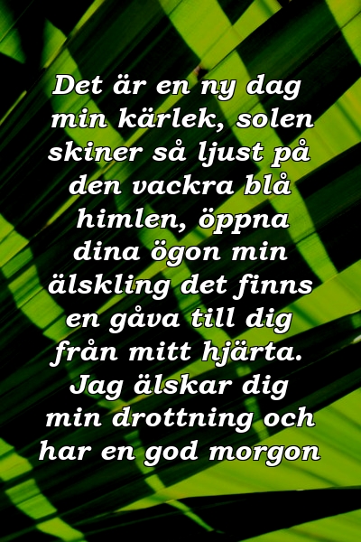 Det är en ny dag min kärlek, solen skiner så ljust på den vackra blå himlen, öppna dina ögon min älskling det finns en gåva till dig från mitt hjärta. Jag älskar dig min drottning och har en god morgon