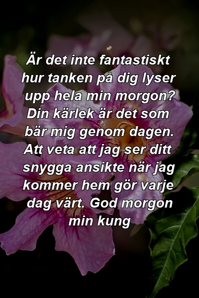 Är det inte fantastiskt hur tanken på dig lyser upp hela min morgon? Din kärlek är det som bär mig genom dagen. Att veta att jag ser ditt snygga ansikte när jag kommer hem gör varje dag värt. God morgon min kung